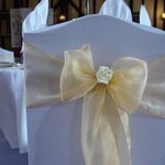 Organza Sash Hire Essex
