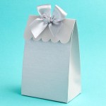 Silver Wedding Favour Box